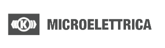 microelettrica